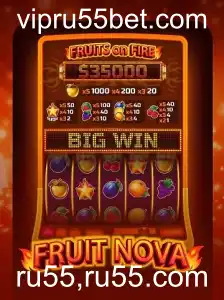 Explorando o Mundo de FruitNova: Regras e Estratégias do Jogo